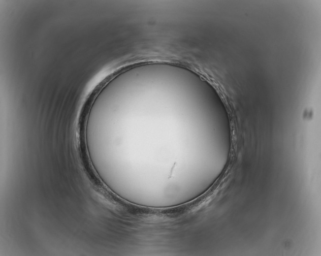 X0000096950246200802080927