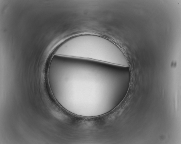 X0000096950247200802080927