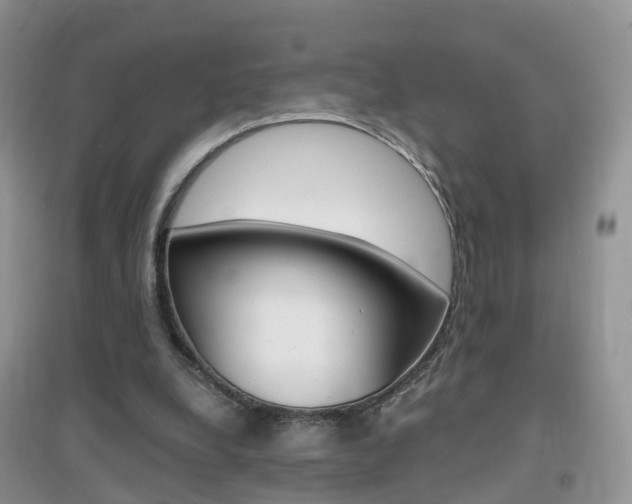 X0000096950248200802080927