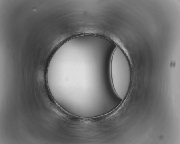 X0000096950249200802080927