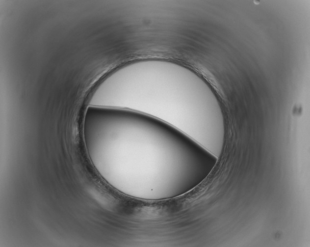 X0000096950251200802080927