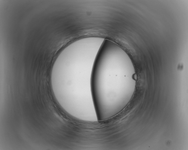 X0000096950255200802080927