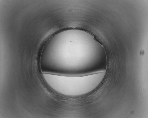 X0000096950256200802080927