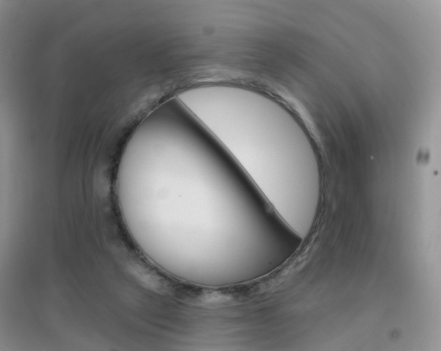 X0000096950257200802080927