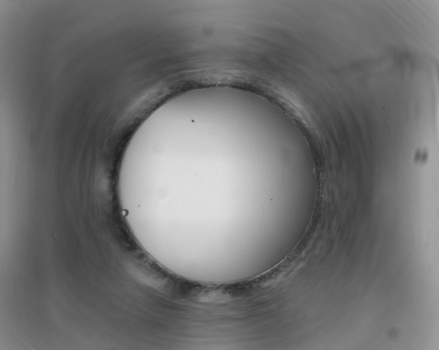 X0000096950258200802080927