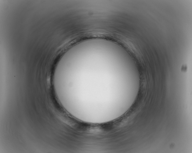 X0000096950262200802080927