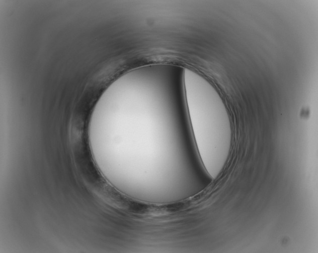 X0000096950263200802080927