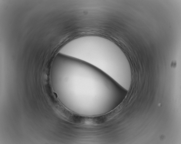 X0000096950264200802080927