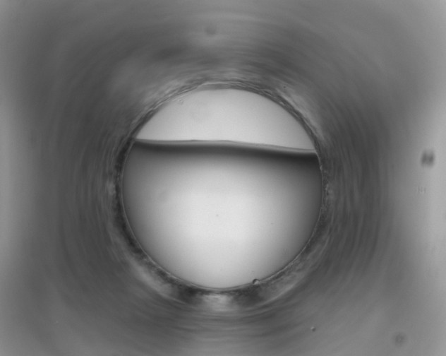 X0000096950265200802080927