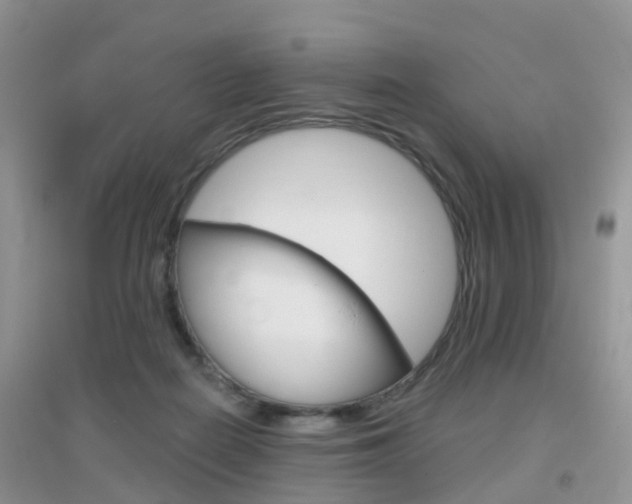 X0000096950266200802080927