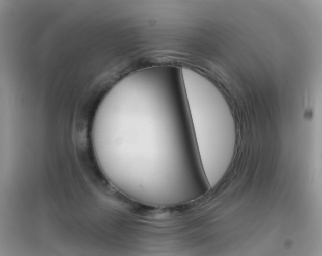X0000096950267200802080927