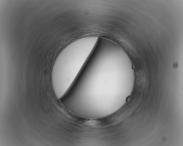 X0000096950269200802080927