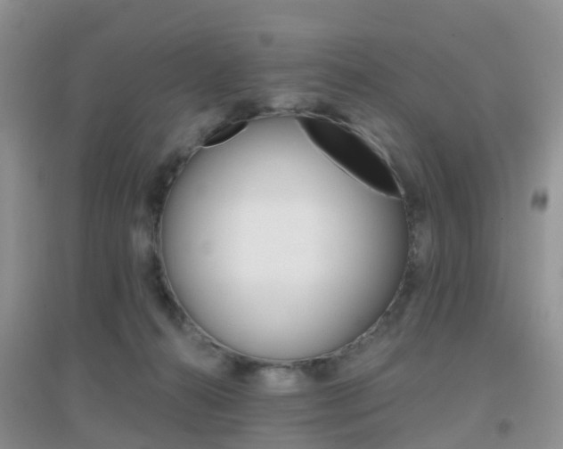 X0000096950272200802080927