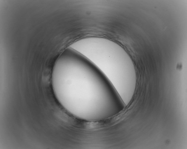 X0000096950273200802080927