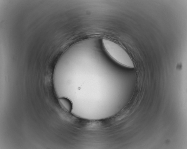 X0000096950274200802080927