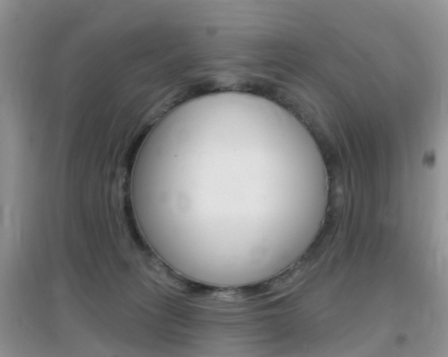 X0000096950275200802080927