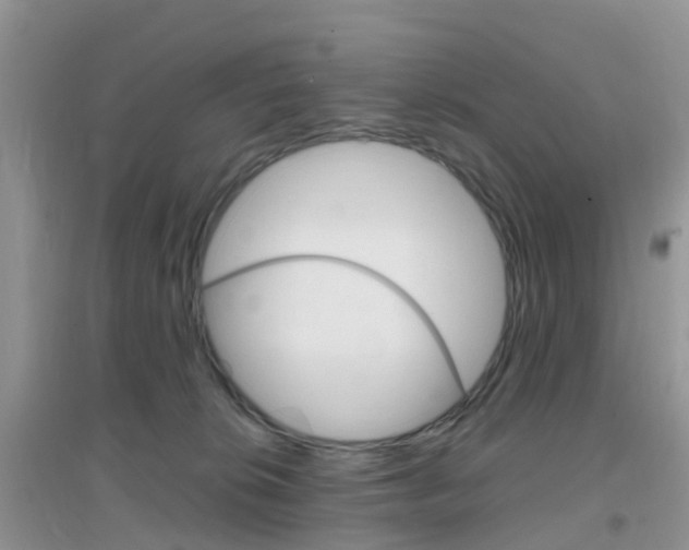 X0000096950276200802080927