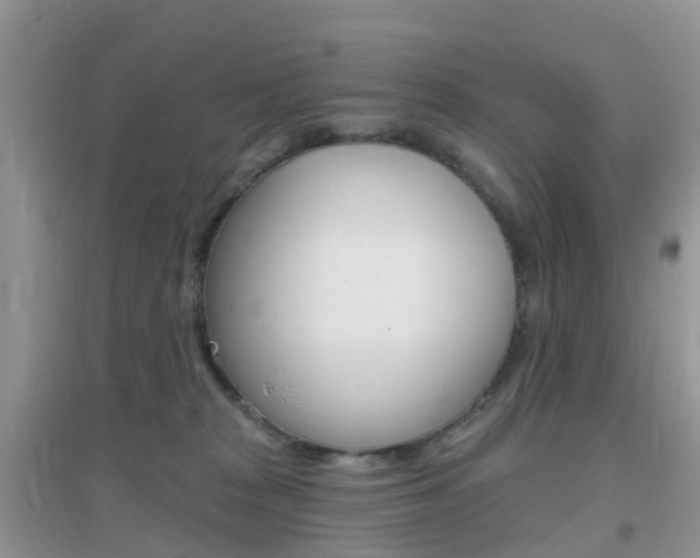 X0000096950277200802080927