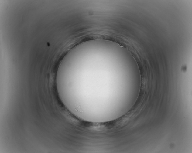 X0000096950278200802080927