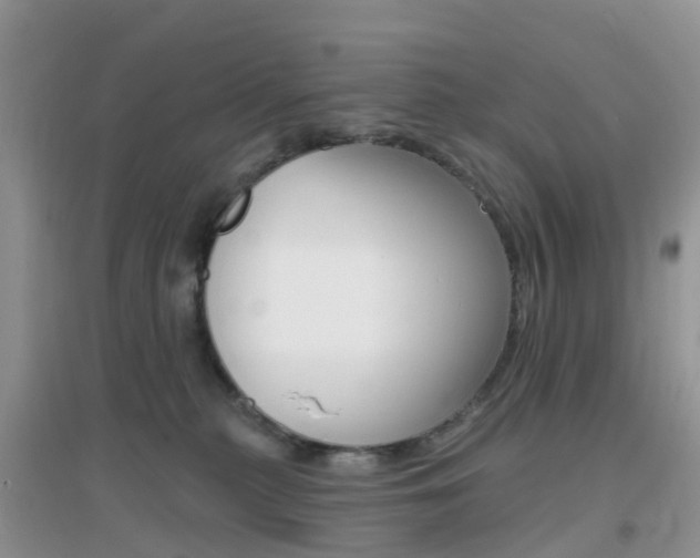 X0000096950279200802080927