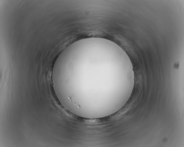 X0000096950281200802080927