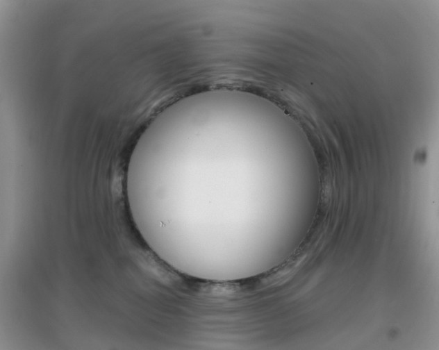 X0000096950282200802080927