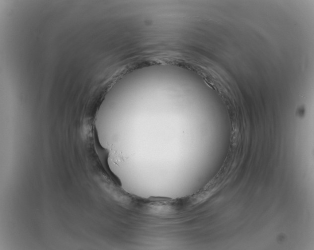 X0000096950284200802080927