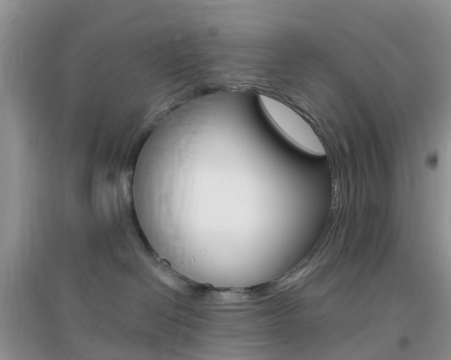 X0000096950286200802080927