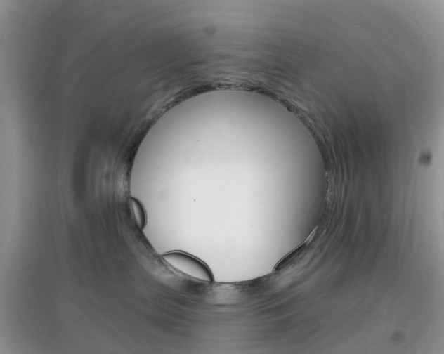 X0000096950287200802080927