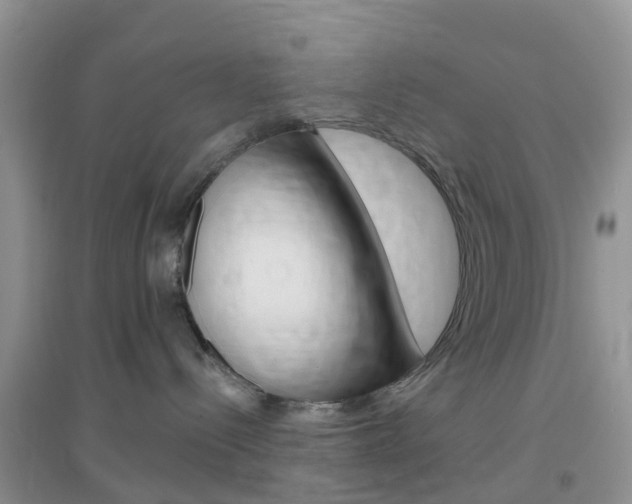 X0000096950288200802080927