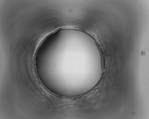 X0000096950289200802080927