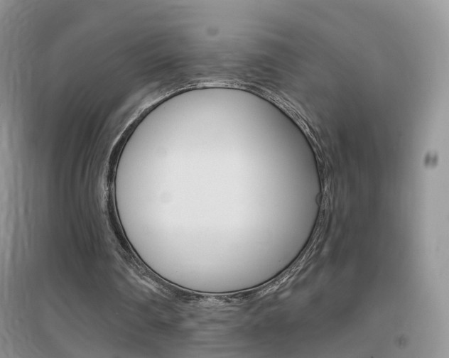 X0000096950290200802080927