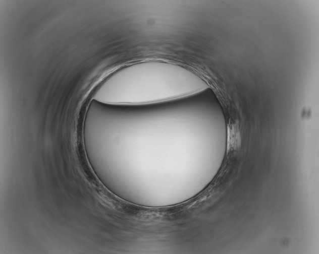 X0000096950291200802080927
