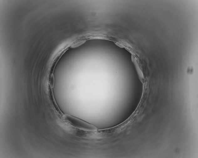X0000096950293200802080927