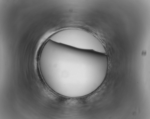 X0000096950294200802080927