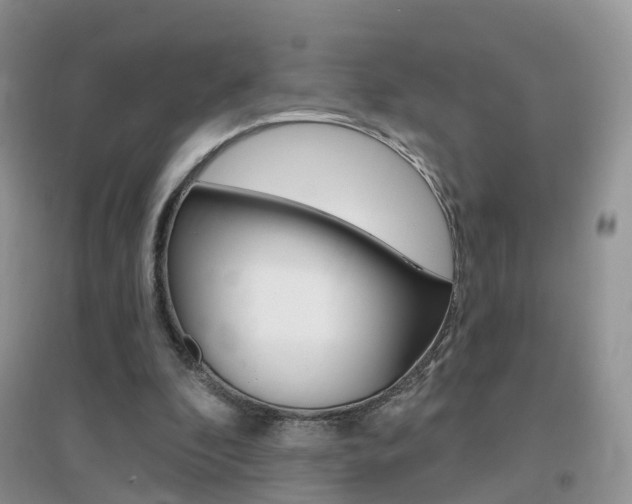 X0000096950296200802080927