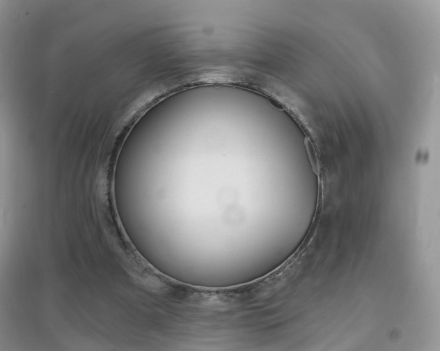 X0000096950297200802080927