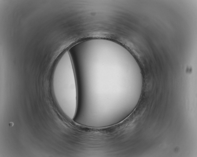 X0000096950299200802080927