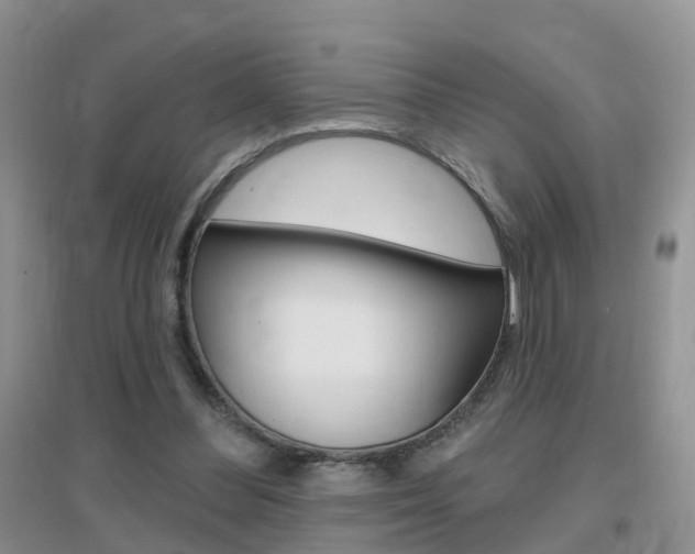 X0000096950300200802080927