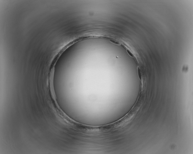 X0000096950301200802080927