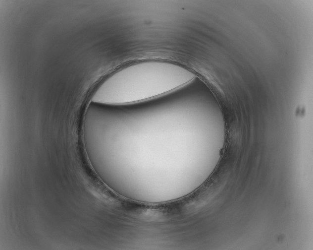 X0000096950303200802080927