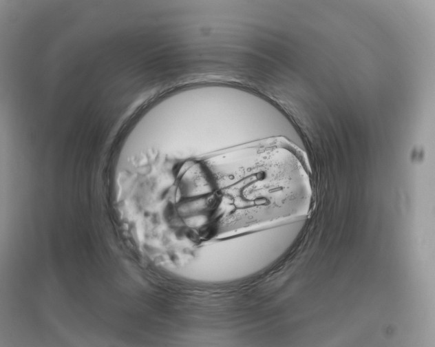 X0000096950304200802080927
