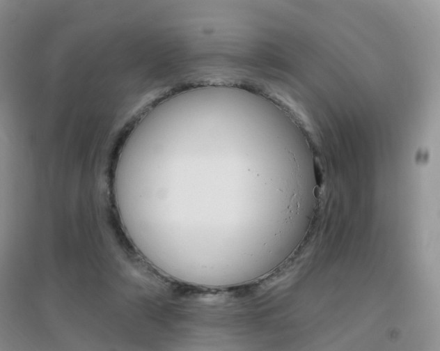 X0000096950306200802080927