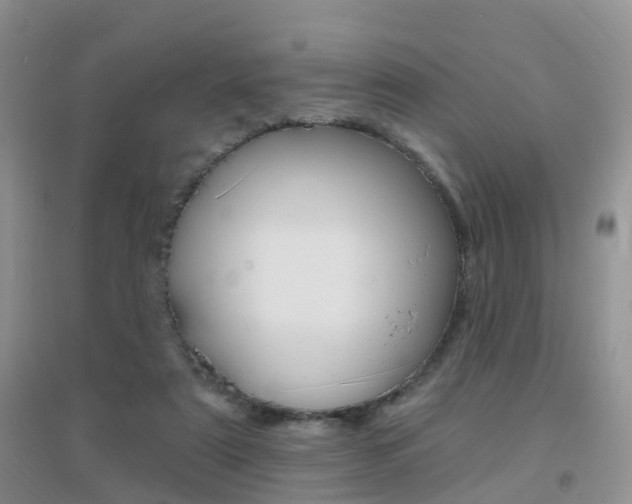 X0000096950307200802080927