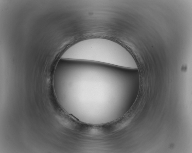 X0000096950308200802080926