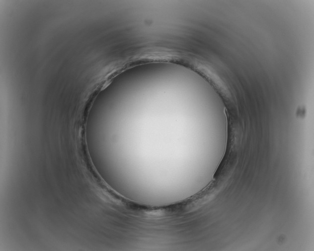 X0000096950309200802080926