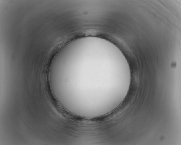 X0000096950311200802080926