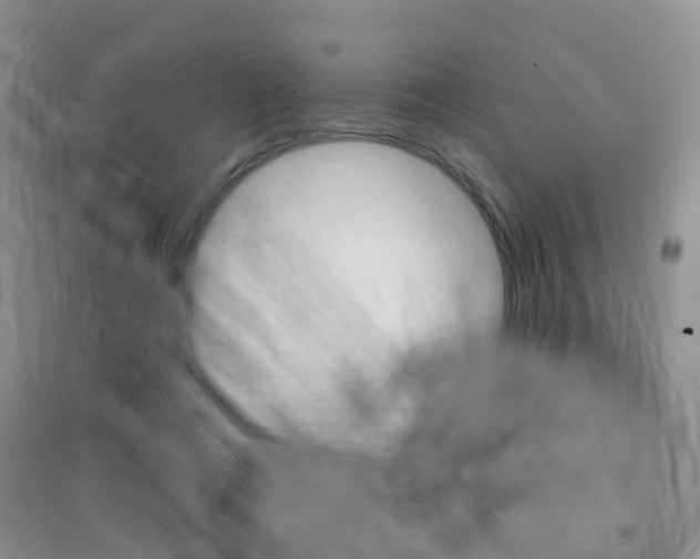 X0000096950312200802080926