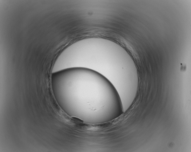 X0000096950313200802080926