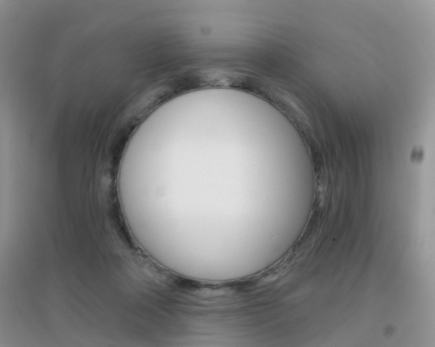 X0000096950314200802080926